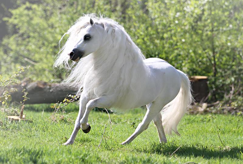 10155600_731405656911801_5121742965013305802_n