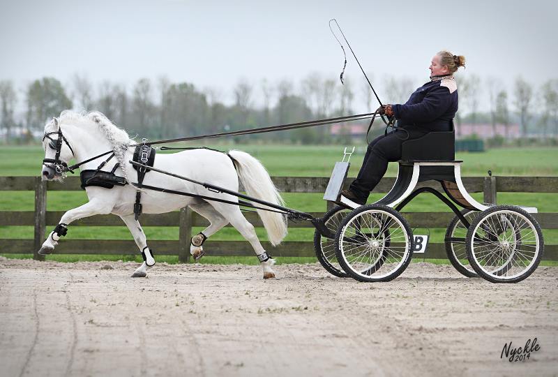 10320524_501642979958639_4539594213015349360_n