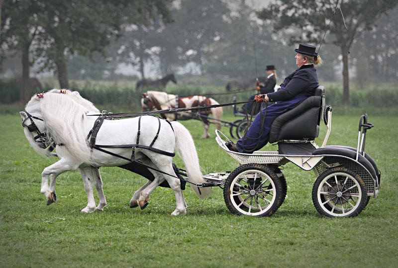 10347774_549628688493401_5349148275317698089_n