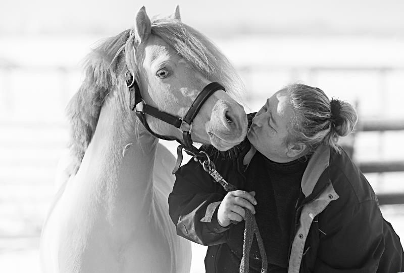 10480974_647450502044552_5810608058332359367_n