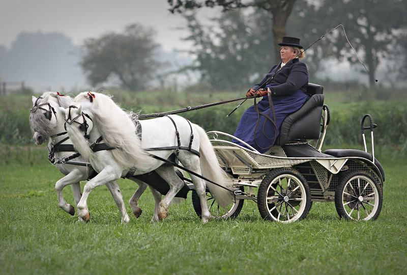 11281_549628298493440_3222433788481617862_n