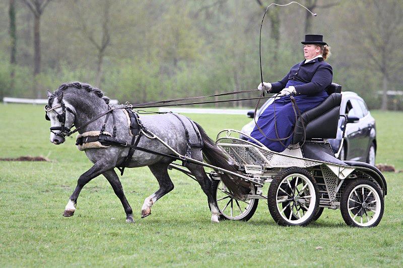 1150932_391999454256326_789944519_n