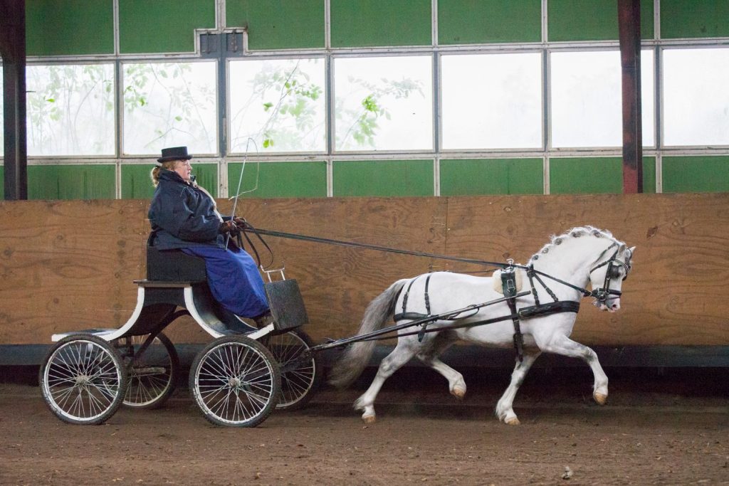 12237967_782236601899274_6365217882827870275_o