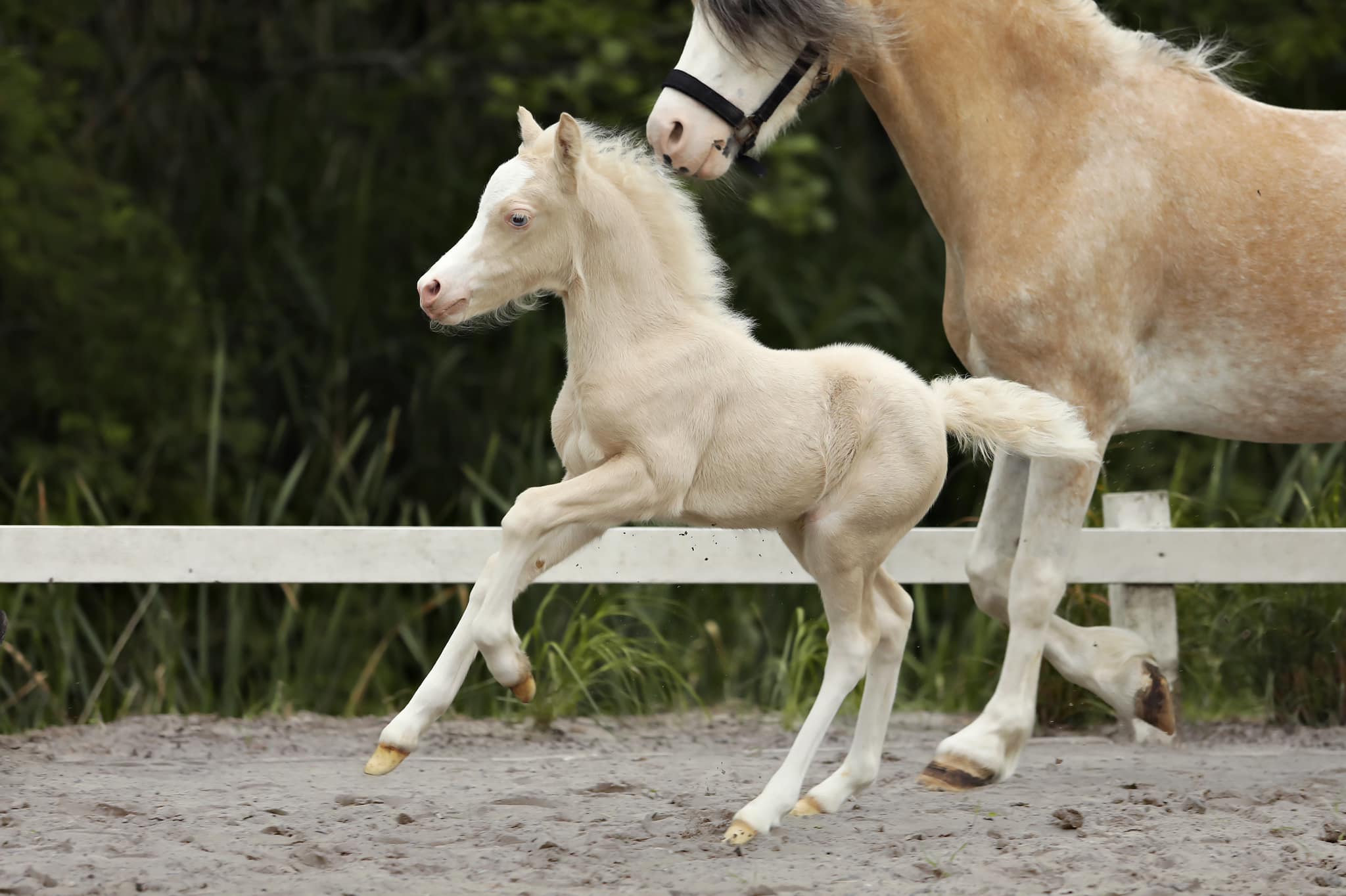 285236389_5425385367513783_4708873181424034905_n