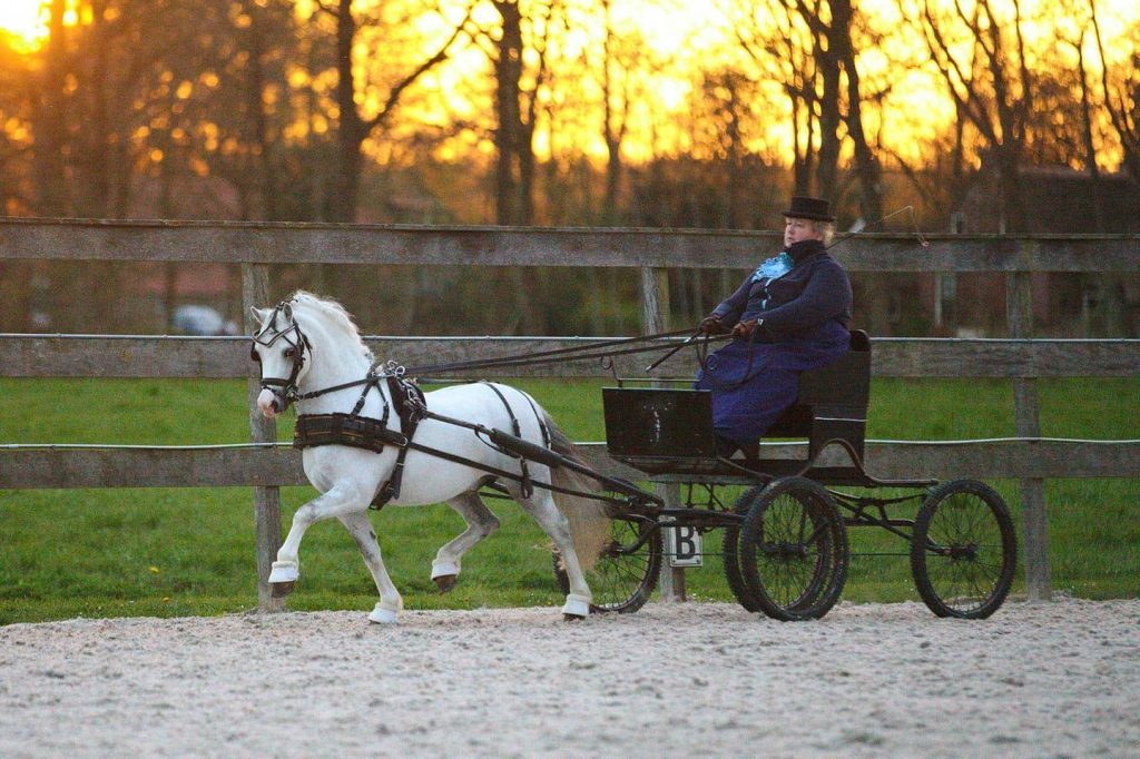 51007268_1880495455406711_8837434195555909632_n