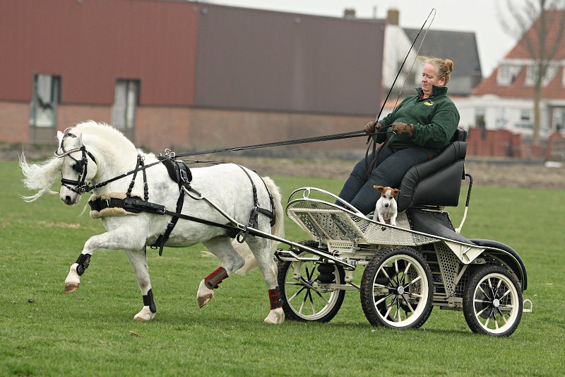 547627_539759516076417_1192266978_n