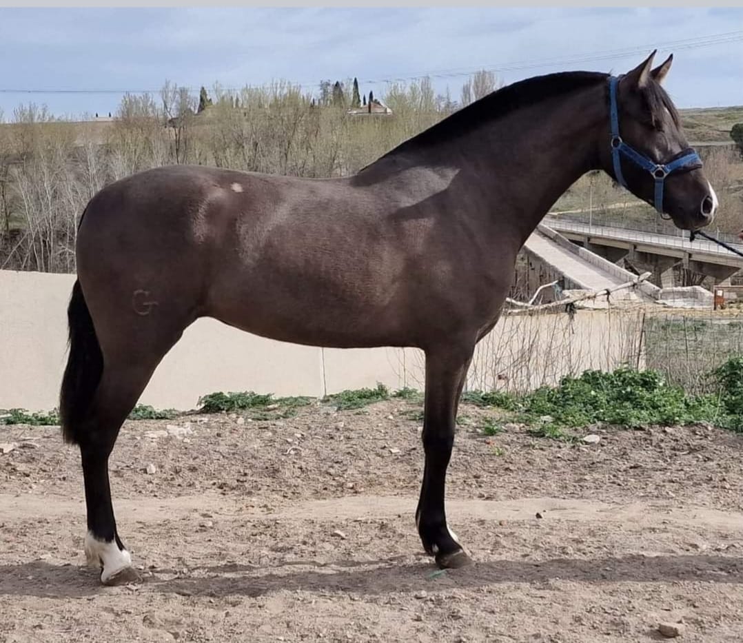 7a90b8b0-e6c1-4abd-bd74-604e2e6fde85