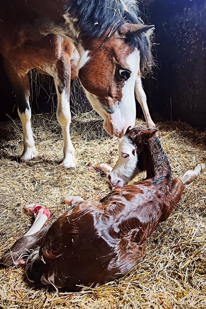 Processed with VSCO with 10 preset