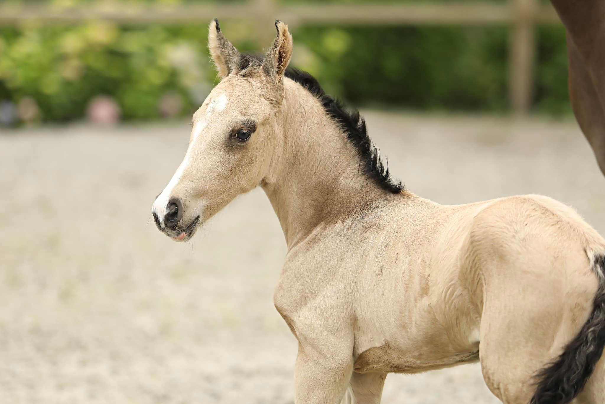 447046411_7914855295233432_1734524430098495480_n