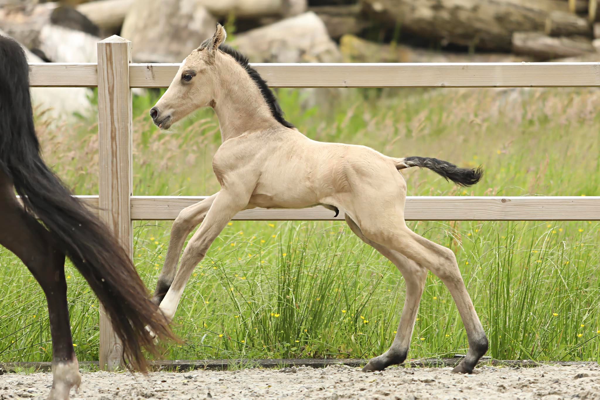 447425973_7914855345233427_5695253269026720082_n