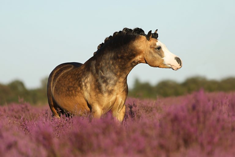 454619738_8306692956049662_7319829449411162326_n