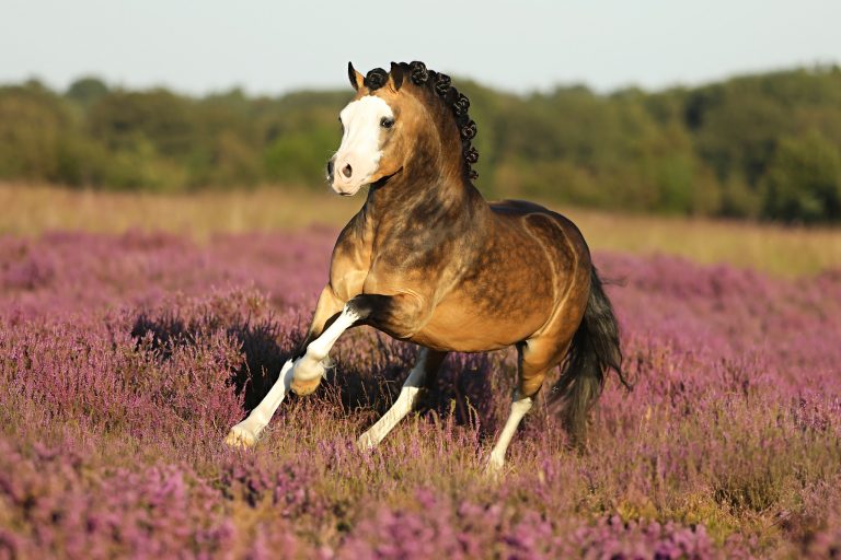 455172031_8306693032716321_3388470697744723698_n