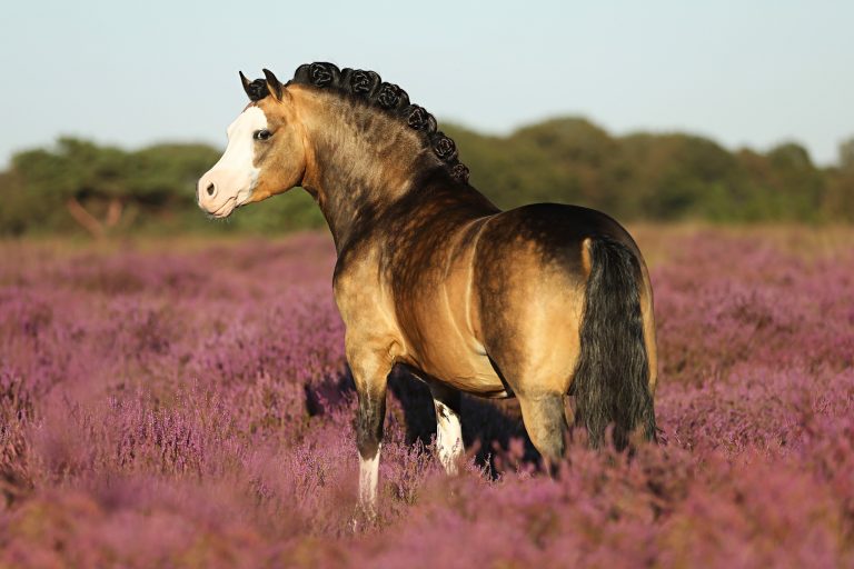 455266105_8306693042716320_328889294394491493_n