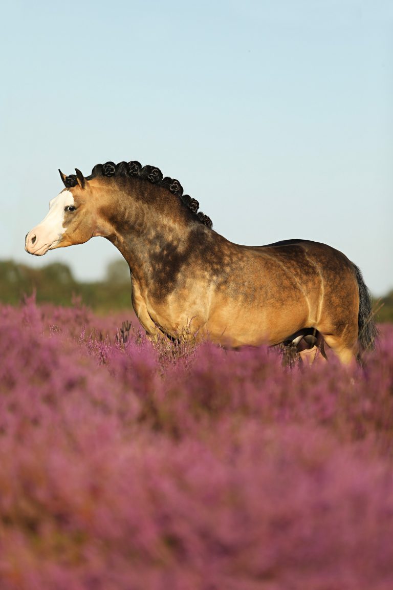 455266177_8306692952716329_2965407974301787942_n