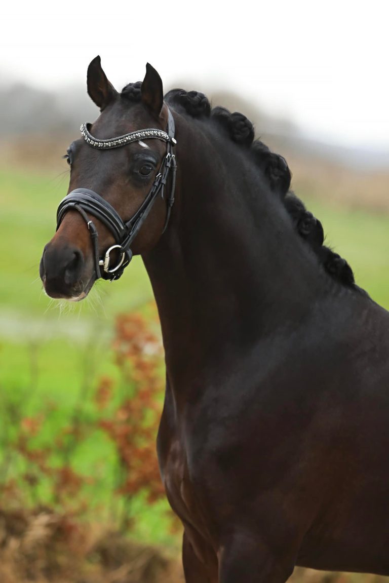 469204194_9117160508336232_1911201432161423969_n