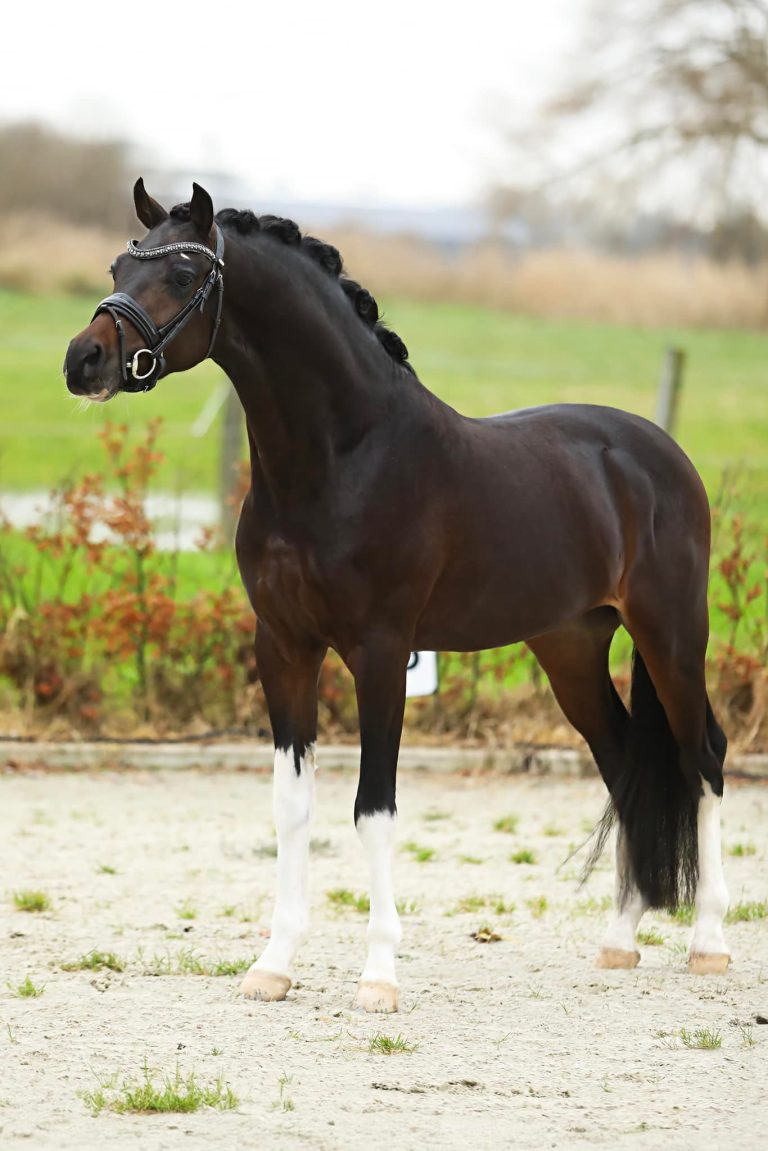 469332305_9117160181669598_6130826899787910298_n