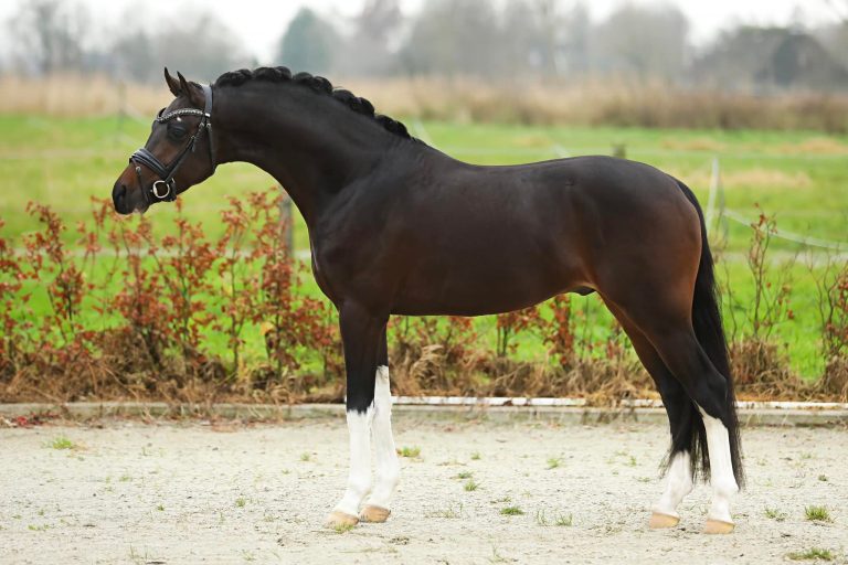 469419368_9117159951669621_7419217267380750610_n