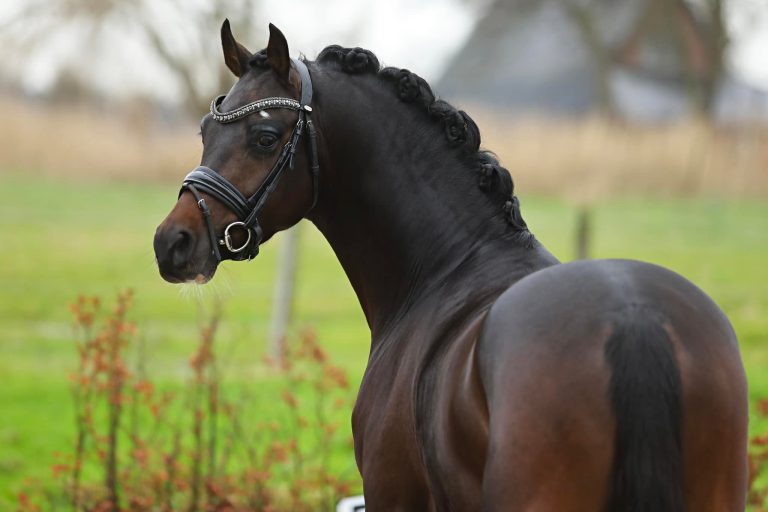 469441878_9117160458336237_4424488890138029228_n