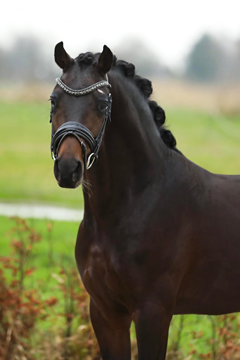 469507220_9117160238336259_335356705666196317_n